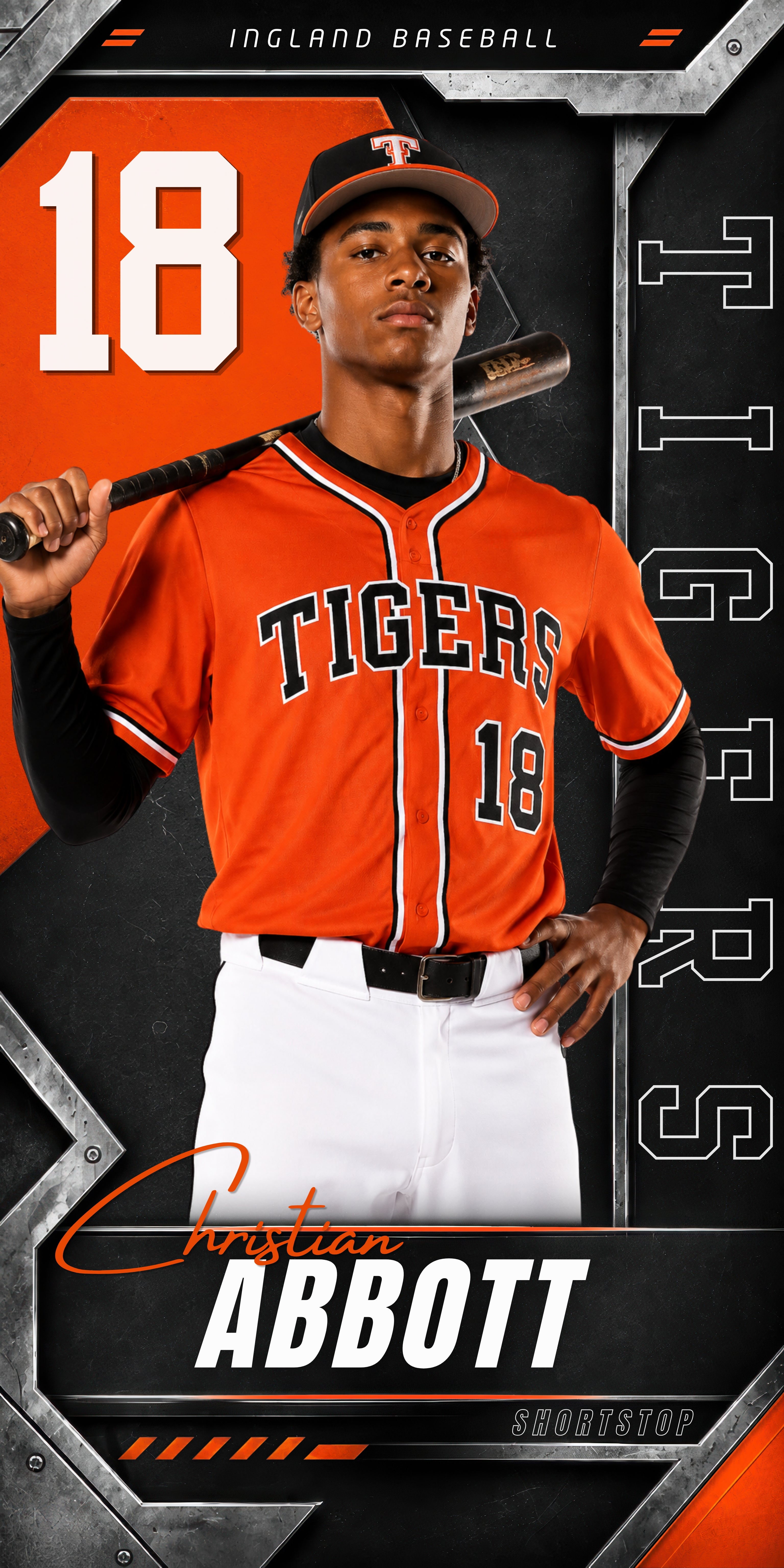 Metallic Baseball Banner Template | Editable in Canva | 1:2