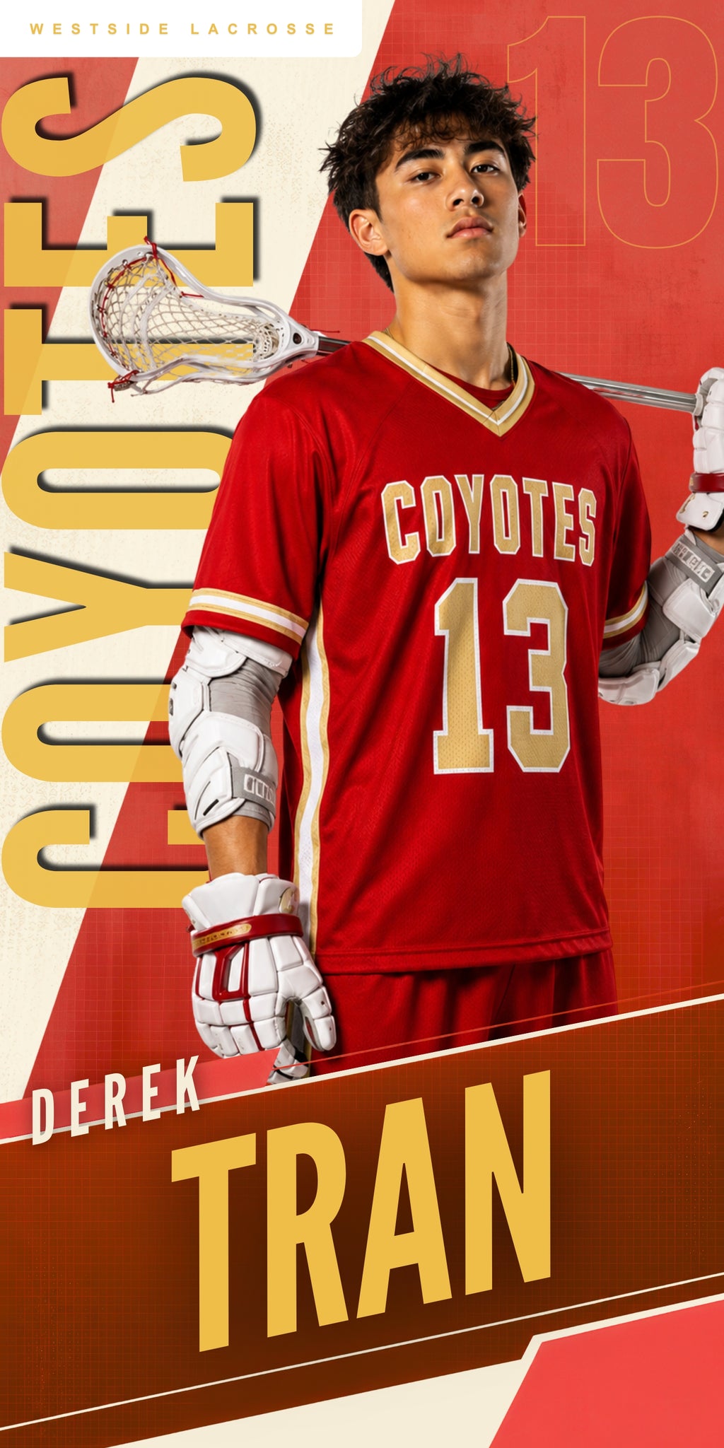 Modern Lacrosse Banner Template | Editable in Canva | 1:2