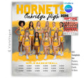 Multi-sports team banner and team poster template editable in Canva with bold paint brush stroke backdrop behind a full group team photo and player name roster below
